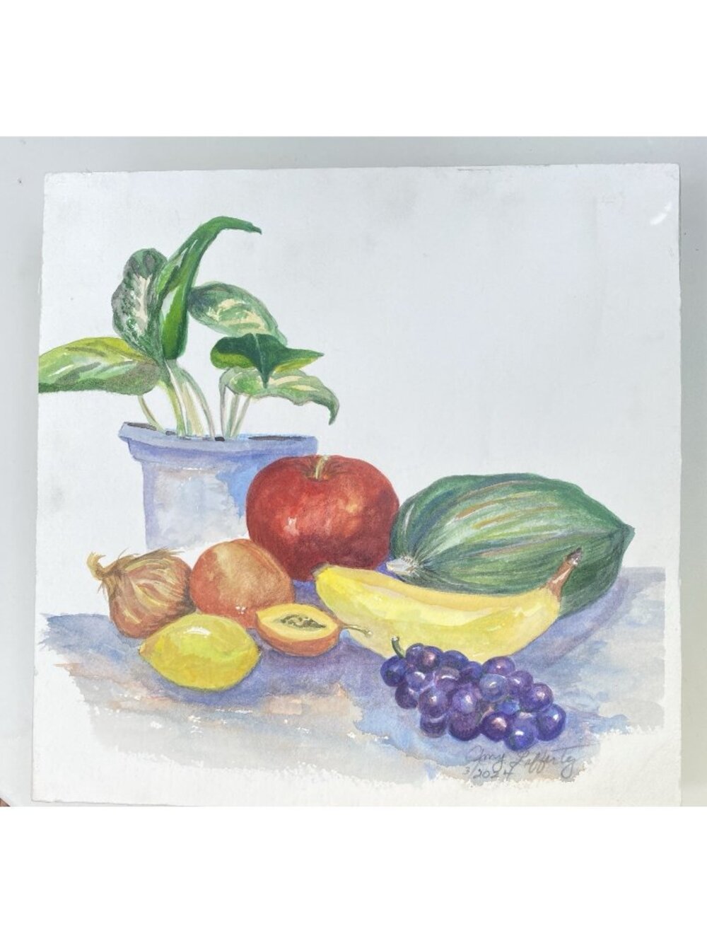 “Bounty”Fruit Plant Water Color 3/2024 By Amy Lafferty Very Colorful 12 X 12